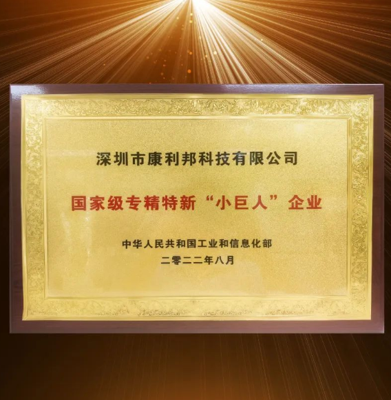 國(guó)家工信部頒發(fā)的國(guó)家級(jí)專(zhuān)精特新“小巨人”